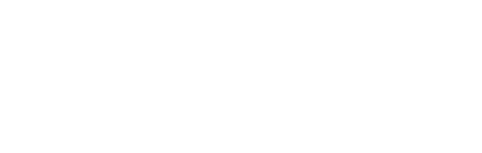 first choice roofing & property maintenance logo upscaled white